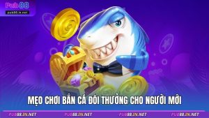 Mẹo chơi bắn cá đổi thưởng cho người mới